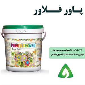 کود پاور فلاور اسپانیایی - 1 کیلویی
