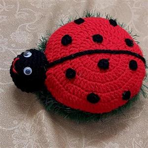 سفره پاک کن کفشدوزک