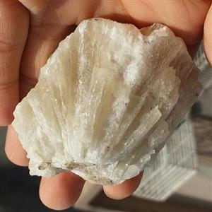 سنگ راف کلکسیونی کلسیت زرد نباتی 100 در 100 طبیعی شاااهکار خلقتکد 10364