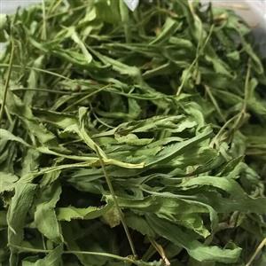 پاغاز  گیاهی  خودرو و بسیار پر خاصیت ومخصوصا اش
