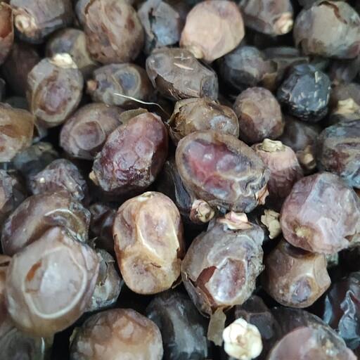 خرمای خاصویی