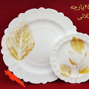 سرویس آیروپال طرح نیها طلایی