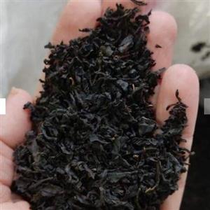 چای شکسته ،یک کیلویی