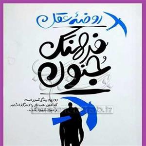 کتاب روضه عقل فرهنگ جنون اثری از  محسن عباسی ولدی نشر کتاب فردا منتشر شد