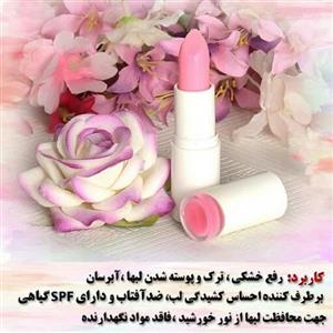 بالم لب گیاهی نیکا - بلوبری