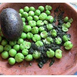 ظرف نمکار شمال (نمک یار)(هزینه ارسال با ا حترام بصورت پس کرایه با مشتری )