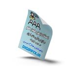 استفاده از طرح همیار معلم در افزایش یادگیری دانش آموزان در درس فیزیک (16445)