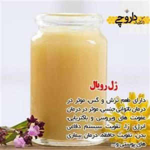 ژل رویال ملکه 10 گرم