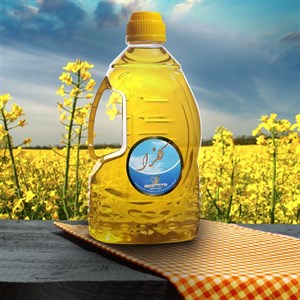 روغن کلزا دو لیتری ارسال (یک روزه البرز)(سه روزه سایر استان ها)