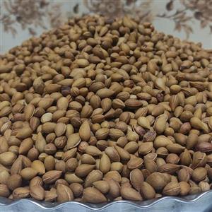 بادام کوهی درختچه ای که در کوهای استان بوشهر رویش دارد و این بادام اگر شیرین شود به عنوان تنقلات استفاده میشود