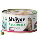 کنسرو ریکاوری گربه شایر طعم مرغ و بوقلمون Shayer recovery with chicken & turkey وزن ۲۰۰ گرم