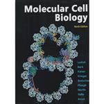 Molecular cell biology ninth edition