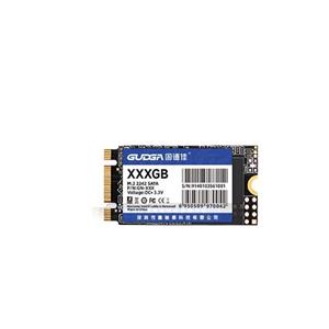 اس اس دی اینترنال گودگا مدل M.2_2242 ظرفیت یک ترابایت