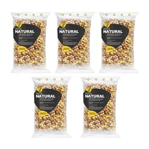 آجیل چهار مغز شور نچرال - 100 گرم بسته 5 عددی
