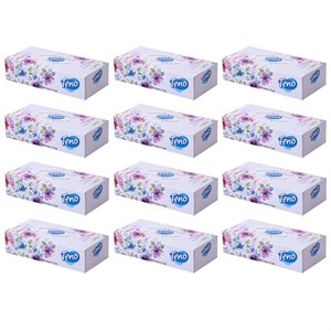 دستمال کاغذی 100 برگ تنو مدل Soft بسته 12 عددی