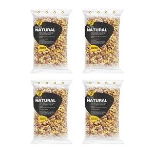 آجیل چهار مغز شور نچرال - 250 گرم بسته 4 عددی