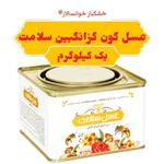 عسل گون گز انگبین سلامت خوانسار قوطی ( یک کیلوگرم) خشکبار خوانسالار