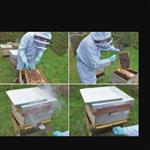 کنه کش کنه کشی زنبور دفع حشرات اگزالیک اسید