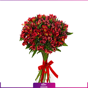 دسته گل آلسترومریا قرمز (20 شاخه)