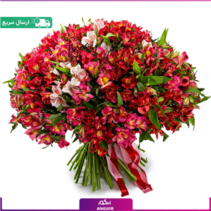 دسته گل آلسترومریا (100 شاخه)