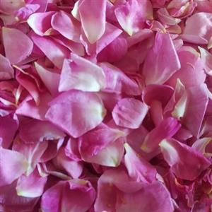 گل محمدی تازه امسالی  با بوی خوش و عطر از باغهای سرسبزآذربایجان شرقی شهرستان مرند مخصوص مربا  و چایی و غیره ....