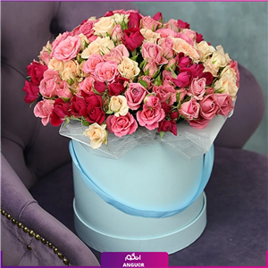 باکس گل رز مینیاتوری کنیا