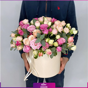 باکس گل رز مینیاتوری