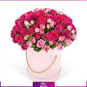 باکس گل رز و رز مینیاتوری