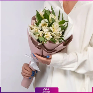 دسته گل آلسترومریا سفید کوچک (5 شاخه)