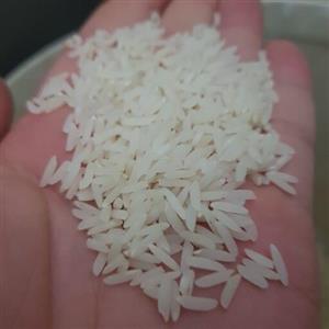 برنج هاشمی شمال
