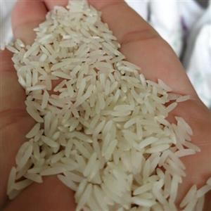 برنج فجر سوزنی خوش طعم و عطر تضمین کیفیت  مناسبیکدست و سالم. محصول روستا کیلویی 68 تومن بسته های 10 کیلویی