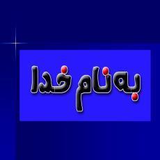 پاورپوینت انسولین