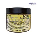 ماسک موی دیکسون سری every green مدل dry hair حجم 500 میل