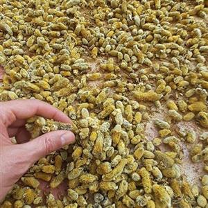 چای گل بیدمشک  یک کیلویی خشک اعلا  مفید  قلب و عروق  اعصاب روان دم کنی