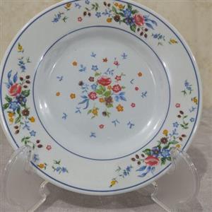 بشقاب میوه خوری ملامین طرح گل ویکتوریا مارک یزد ملامین بسته 6 عددی  سایز  و قطر 19سانت دارای استاندارد .پیش دستی