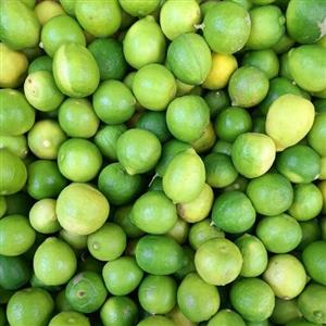 لیمو ترش جهرم(1000)گرم