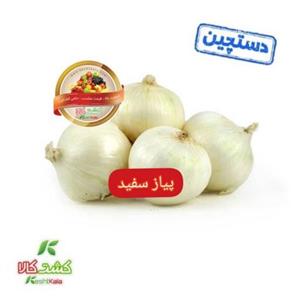 پیاز سفید درشت دستچین