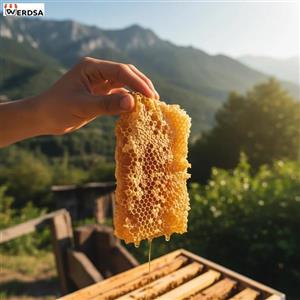 عسل وحشی وحشی2کیلویی تضمینی باموم وبدون موم ازجنگل شمال بابرگه آزمایش ساکارز شش صدم یعنی زیریک خام  زنده عالی برا دیابتی