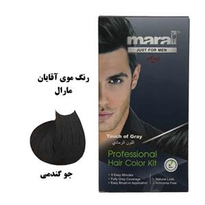 کیت رنگ موی جوگندمی مارال آقایان Touch of Gray Hair Color