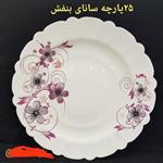 سرویس 25 پارچه آیروپال