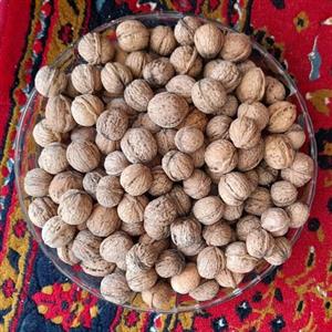 10 کیلو ،گردو ارگانیک و پوست کاغذی دامغان  بسیار با کیفیت و  پرچرب