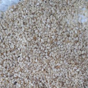 کنجد سفید، نیم کیلویی، رنگ سفید، شیرین، بوداده ( اصطلاحا کنجد ارده ای)