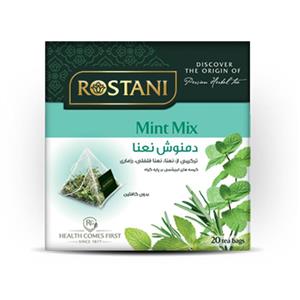 Rostani دمنوش گیاهی رستنی هرمی نعنا مدل Mint Mix 