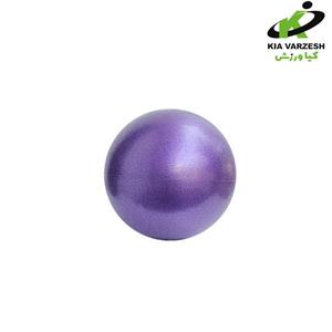 توپ پیلاتس مدل 321 قطر 20 سانتی متر