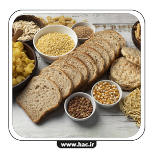 نرم افزار تخصصی حسابداری نان و فرآورده های غلات هلو