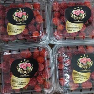 رزبری تازه