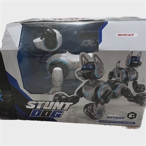 ربات کنترلی مدل SYRCAR سری Gravity SENSOR کد 666-800