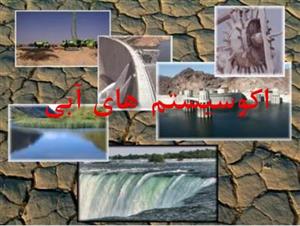 پاورپوینت اکوسیستم های آبی