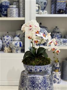 قدح قلمآبی و 2 شاخه ارکیده