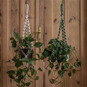 آویز گلدان مکرومه طرح پتوس